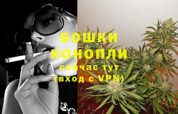 сатива Михайловск