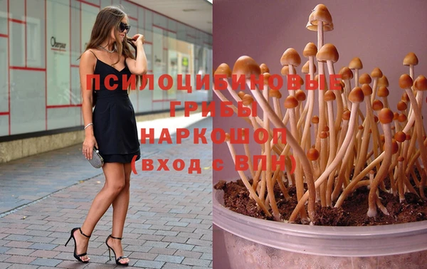 apvp Михайловка