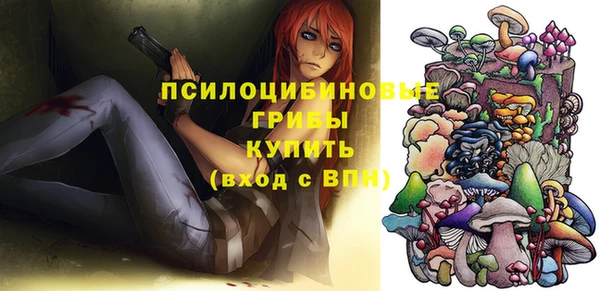 сатива Михайловск