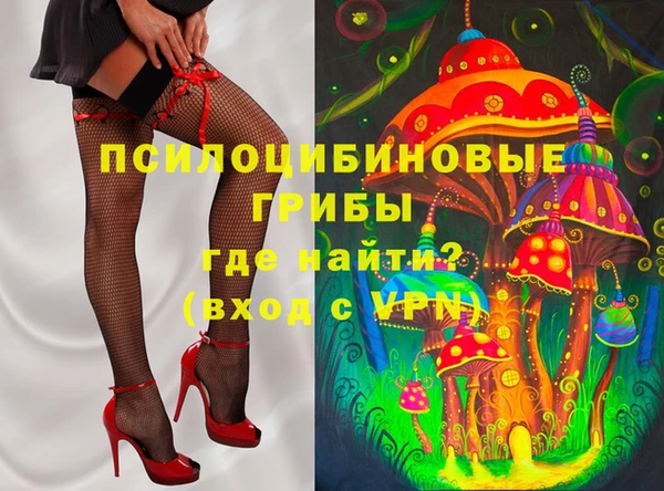 сатива Михайловск