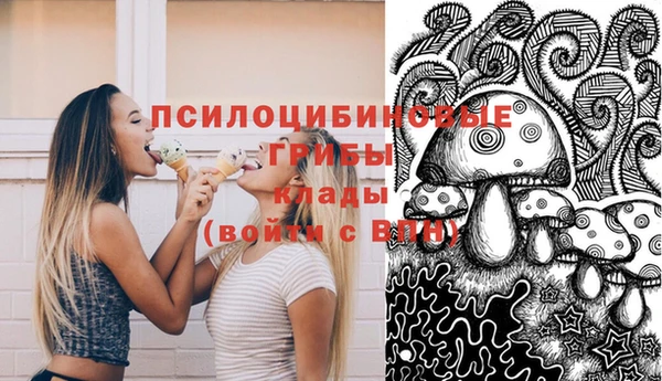 гидра Михайлов
