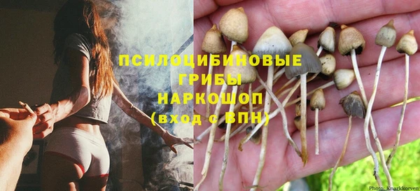 apvp Михайловка