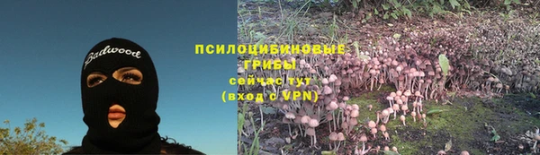 apvp Михайловка