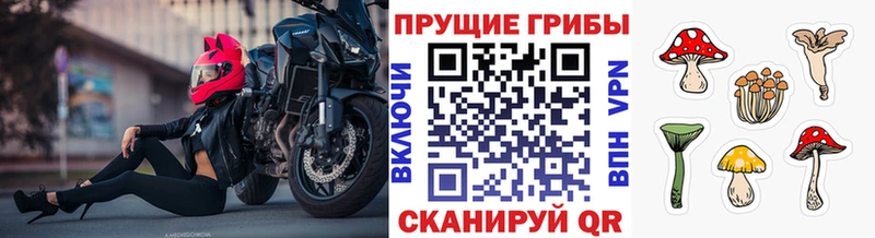 даркнет сайт  Пойковский  Галлюциногенные грибы Magic Shrooms 